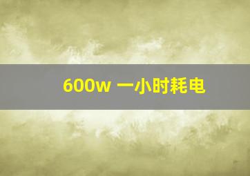 600w 一小时耗电